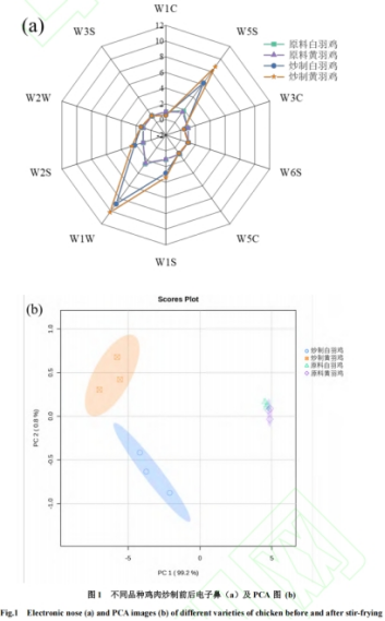 微信圖片_20250519164607