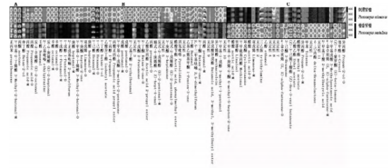 微信圖片_2025-08-07_145014_718