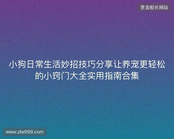 小狗日常生活妙招技巧分享让养宠更轻松的小窍门大全实用指南合集 小狗日常生活妙招技巧分享让养宠更轻松的小窍门大全实用指南合集